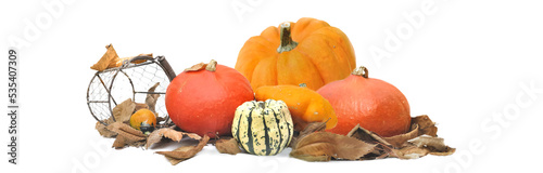 group of gourds with leaf arranged in panoramic view on white background