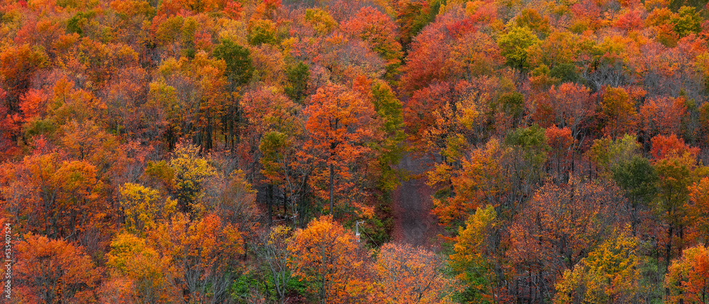 Fall foliage at Black river national forest of Michigan upper peninsula Fall foliage at Black river national forest of Michigan upper peninsula
