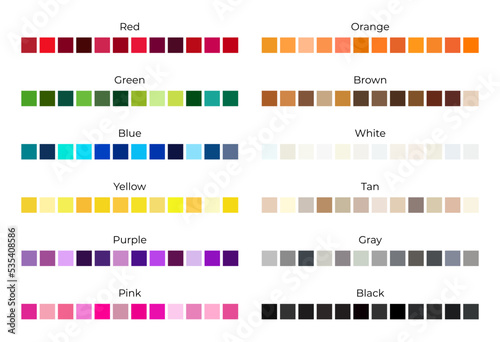 Color Shades for Every Colors Palette Isolated on White Background