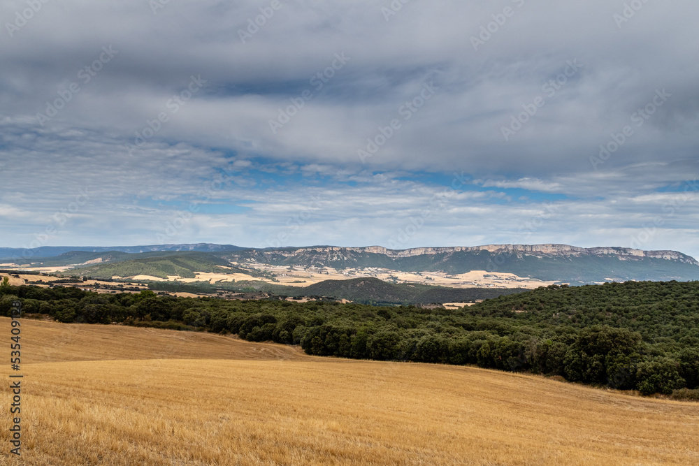 Cereal field, forest, mountains and blue sky with clouds. From Irache to Azqueta, Navarra, Spain. Santiago's road.