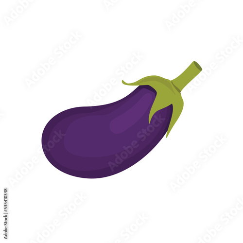 Cartoon eggplant, aubergine icon, symbol isolated on white background.