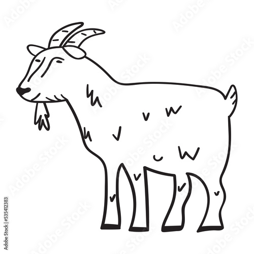 Goat. Farm animal. Outline icon. Vector hand drawn illustration.