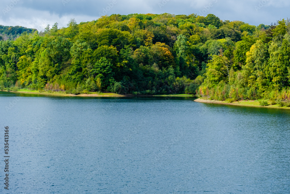 lake in the forest lake in the forest