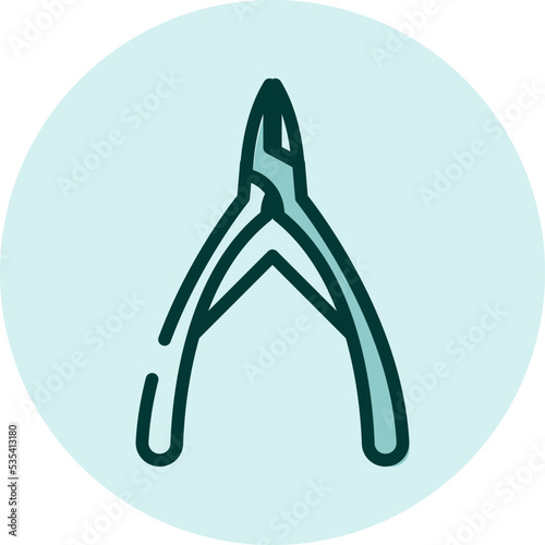 Beauty nipper, illustration, vector on a white background.