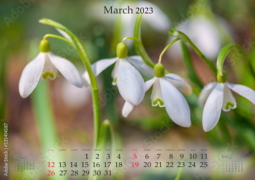 Wallpaper Mural Horizontal wall calendar for 2023 year. March, B3 size. Set of calendars with amazing landscapes.  Snowdrop flowers (Galanthus nivalis) in the spring forest. Monthly calendar ready for print. Torontodigital.ca