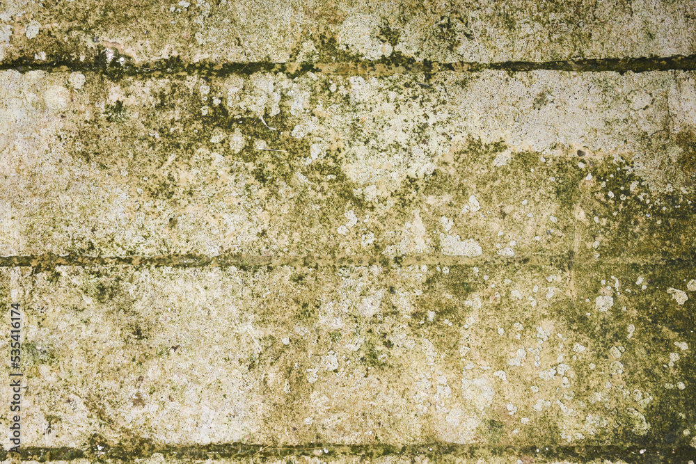 Fototapeta premium cracked background, The old white cement wall.