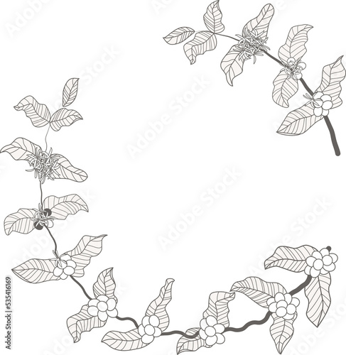 Wallpaper Mural minimal doodle line art coffee branch and ribbon wreath frame Torontodigital.ca