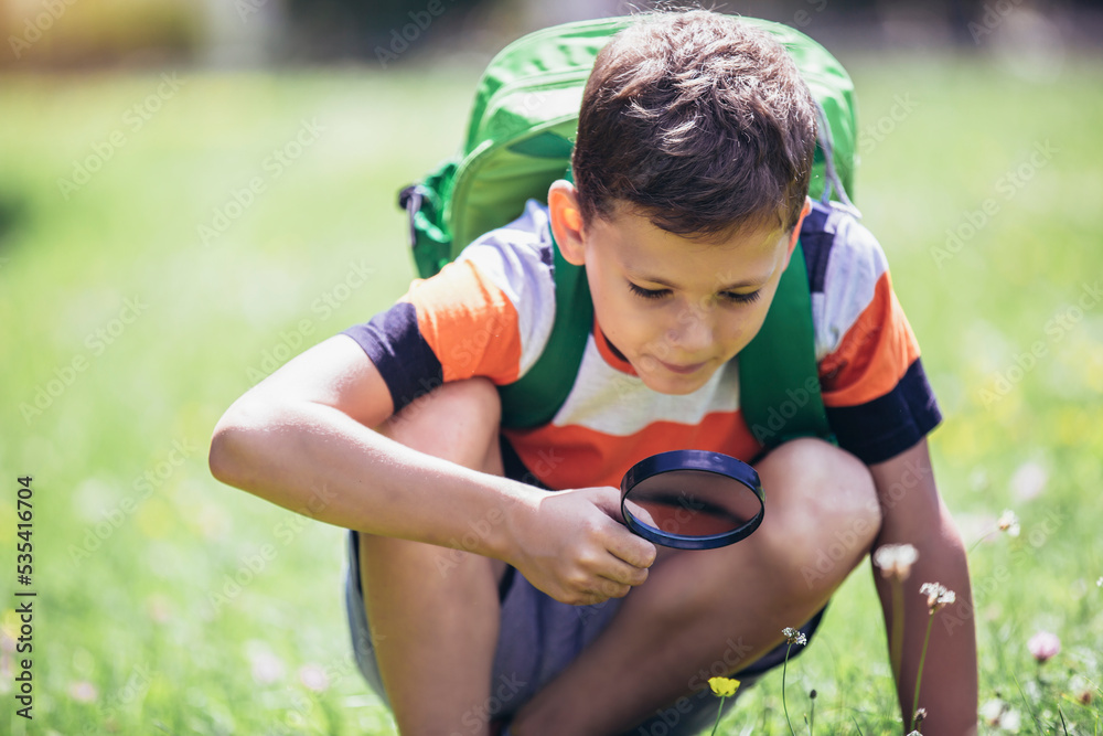 Young boy exploring nature in a meadow with a magnifying glass Young boy exploring nature in a meadow with a magnifying glass