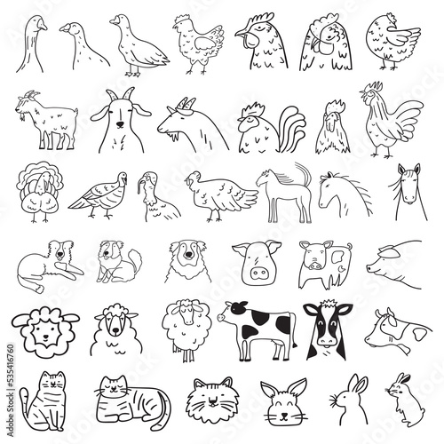 Big collection of farm animals. Outline hand drawn icons. Vector illustrations on white background.