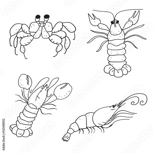 Crustaceans. Crab, lobster, crayfish, shrimp. Outline icons. Hand drawn illustrations on white background.