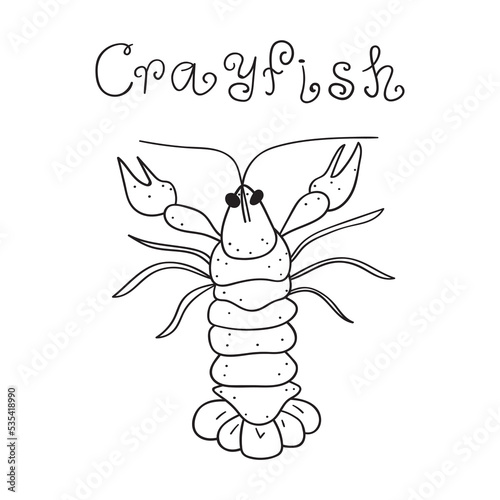 Crayfish. Seafood. Outline vector icon on white background.
