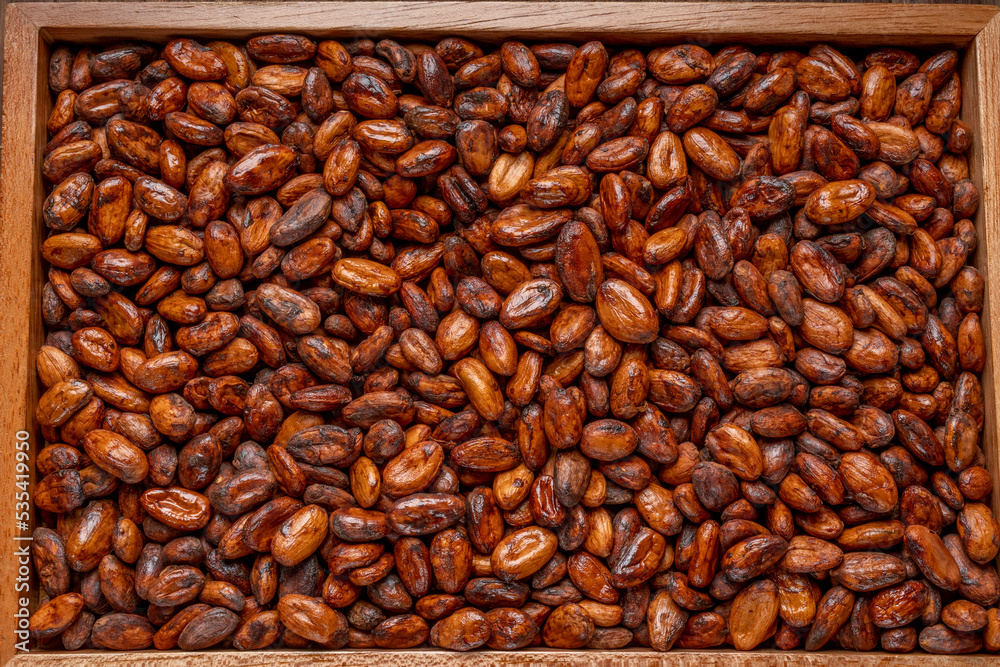 Cocoa beans on wooden plate, Aromatic, Roasted Cocoa beans in wooden background.