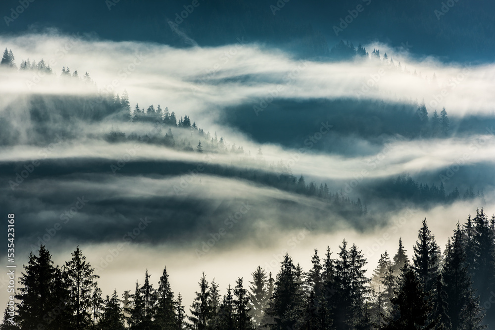 Fototapeta premium Misty dawn landscape with trees above fog in the Eastern Europe Carpathian Mountains. Transylvania, Romania.