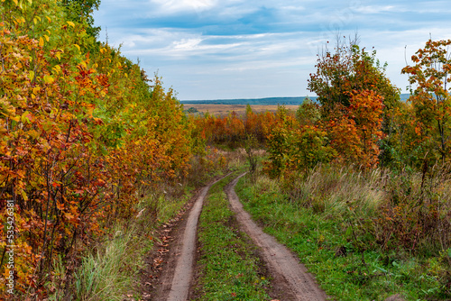 Walking through the autumn forest in Samarskaya Luka National Park 