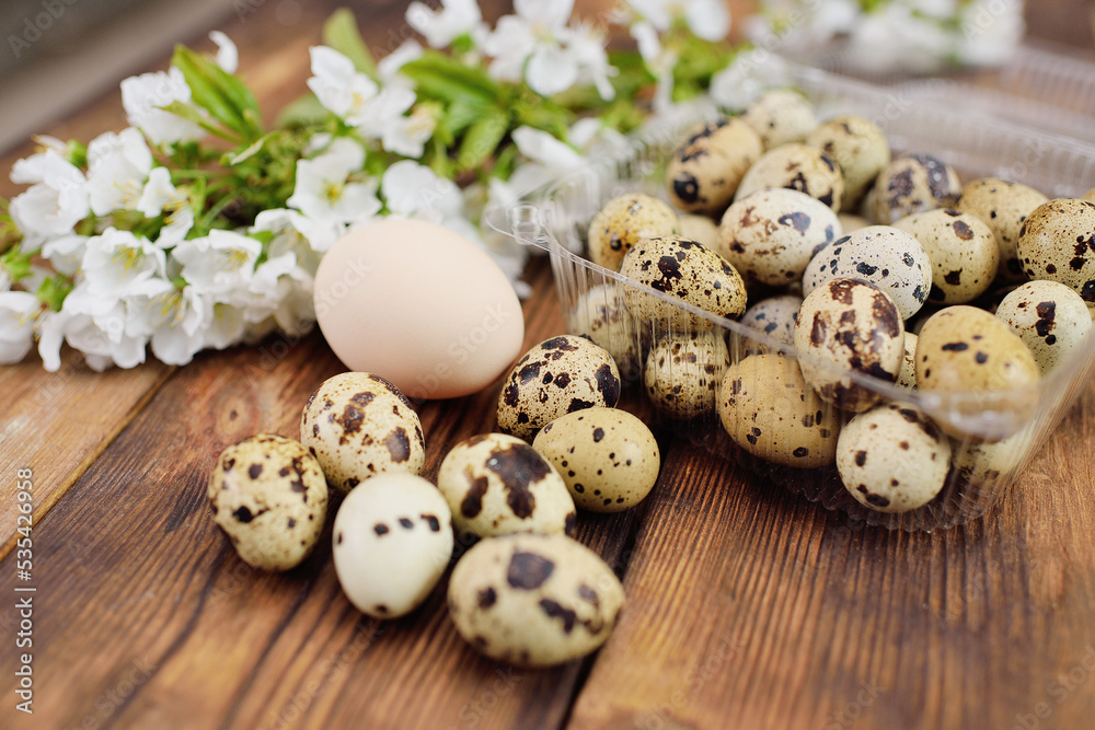 lot of quail eggs and a chicken egg on a wooden table against the background of a flowering twig.