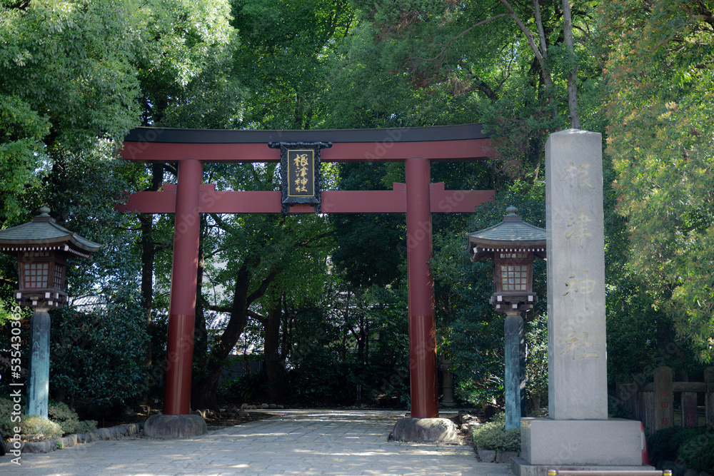 根津神社　鳥居