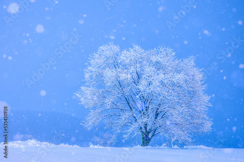 樹氷と雪景色 © 資雄 西岡