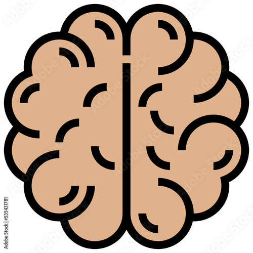brain icon