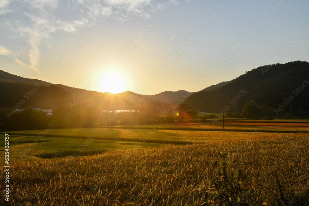 아름다운 한국 농촌 가을 추수 배경 Stock Photo | Adobe Stock
