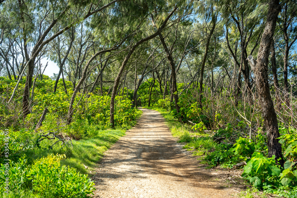Hiking tracks in Southport Spit, Gold Coast, Queensland, Australia Hiking tracks in Southport Spit, Gold Coast, Queensland, Australia