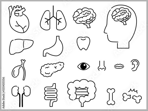 脳、顔、臓器など体のパーツイラストセット（白色）