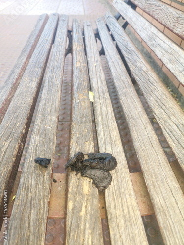bank shit, scatological photograph of a street bench where someone has shit himself, photo