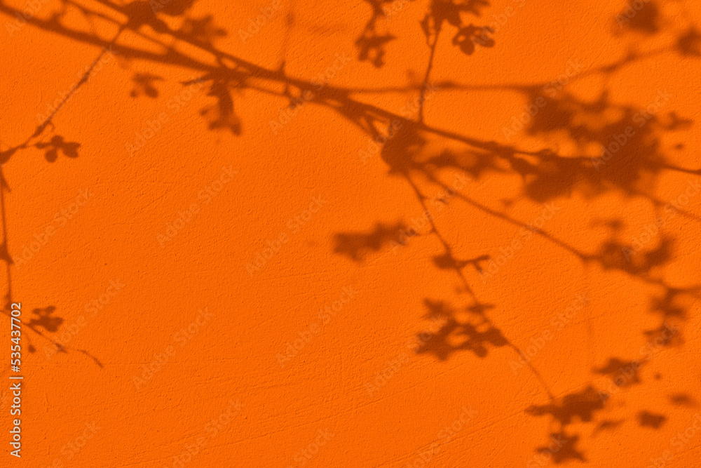 Abstract cherry tree flowered branches shadows on orange concrete wall texture. Abstract trendy colored nature concept background. Copy space for text overlay, poster mockup flat lay Abstract cherry tree flowered branches shadows on orange concrete wall texture. Abstract trendy colored nature concept background. Copy space for text overlay, poster mockup flat lay