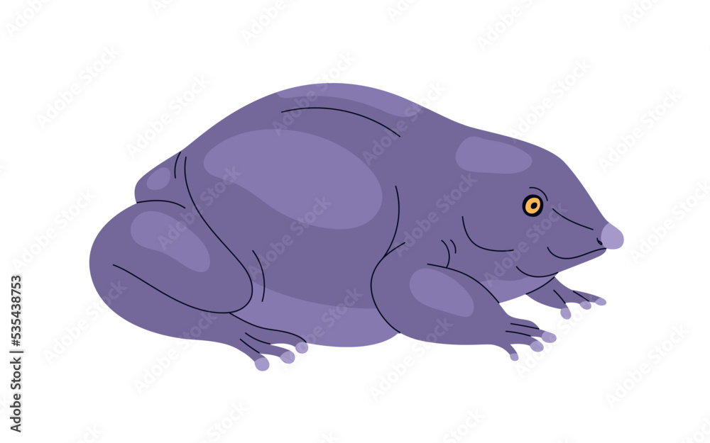 Purple pignose frog. Indian violet froggy with smooth skin. Exotic amphibian reptile with pointed nose, Nasikabatrachus sahyadrensis. Realistic flat vector illustration isolated on white background Purple pignose frog. Indian violet froggy with smooth skin. Exotic amphibian reptile with pointed nose, Nasikabatrachus sahyadrensis. Realistic flat vector illustration isolated on white background