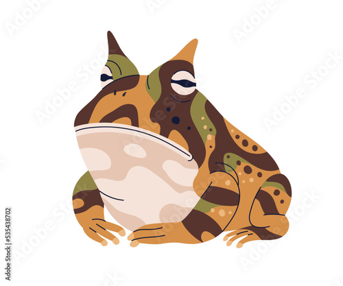 Argentine horned frog. Ornate toad, Ceratophrys ornata species. Wide-mouthed amphibian reptile with spotted multicolored skin. Realistic flat vector illustration isolated on white background