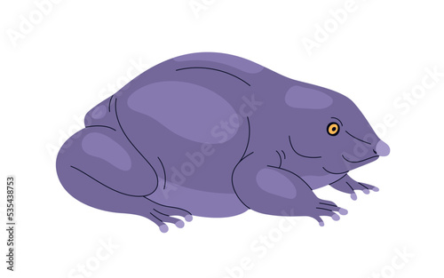 Purple pignose frog. Indian violet froggy with smooth skin. Exotic amphibian reptile with pointed nose  Nasikabatrachus sahyadrensis. Realistic flat vector illustration isolated on white background