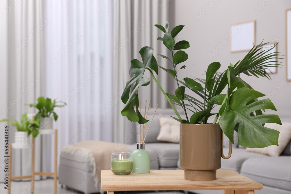 Ceramic vase with tropical leaves on wooden table in living room. Space for text Ceramic vase with tropical leaves on wooden table in living room. Space for text