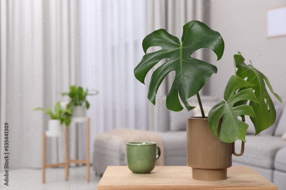 Ceramic vase with tropical leaves on wooden table in living room. Space for text Ceramic vase with tropical leaves on wooden table in living room. Space for text