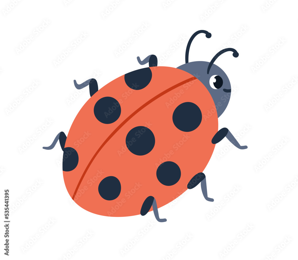 Obraz premium Ladybug, cute insect with spotted wings. Funny ladybird crawling. Lovely happy smiling lady beetle, bug. Childish flat graphic vector illustration isolated on white background