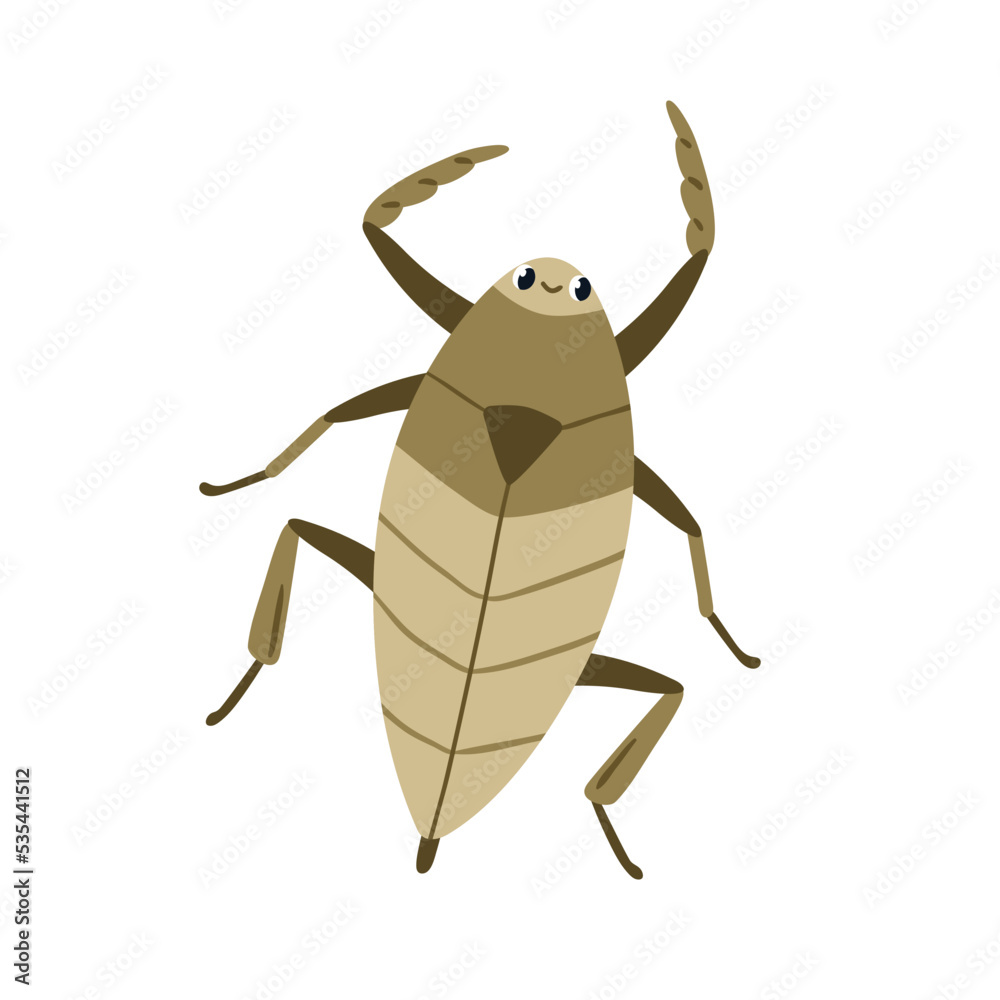 Water scorpion, cute funny insect. Needle bug, aqua beetle top view. Happy smiling aquatic nepidae character. Childish flat vector illustration isolated on white background Water scorpion, cute funny insect. Needle bug, aqua beetle top view. Happy smiling aquatic nepidae character. Childish flat vector illustration isolated on white background