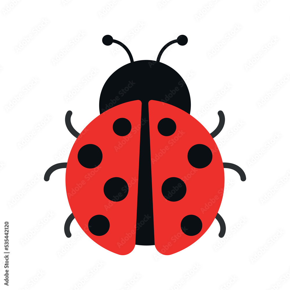 Cute Ladybug Insect Animal Animated Vector Illustration