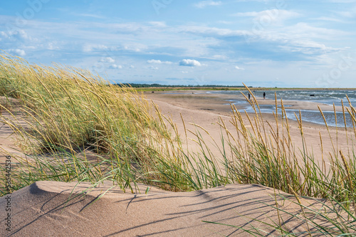 sand dunes at the beach

Ohtakari, Finland