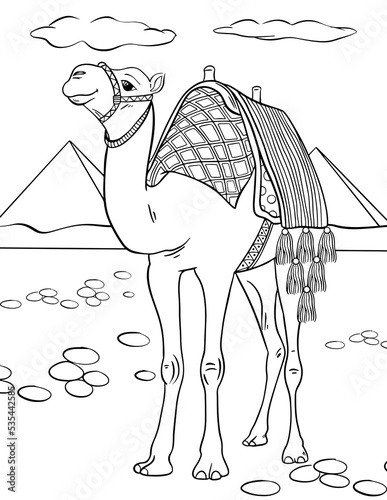 Stylized cartoon Egyptian camel on white background. Freehand sketch for adult anti stress coloring book page with doodle elements. photo