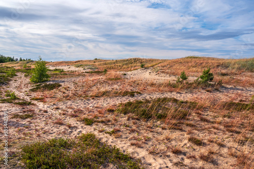 Sand dunes with vegetation. Ohtakari, Finland
