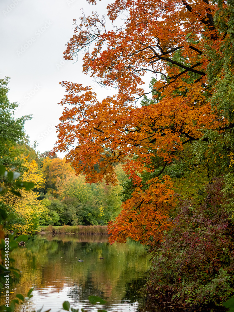 Autumn landscape. Beautiful forest lake. Yellow leaves. Autumn landscape. Beautiful forest lake. Yellow leaves.