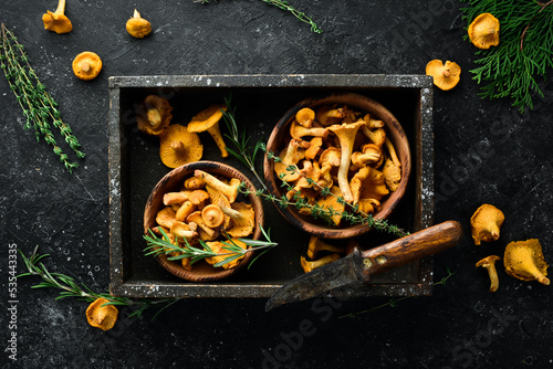 Chanterelle mushrooms in a wooden box. Top view. Free space for text.