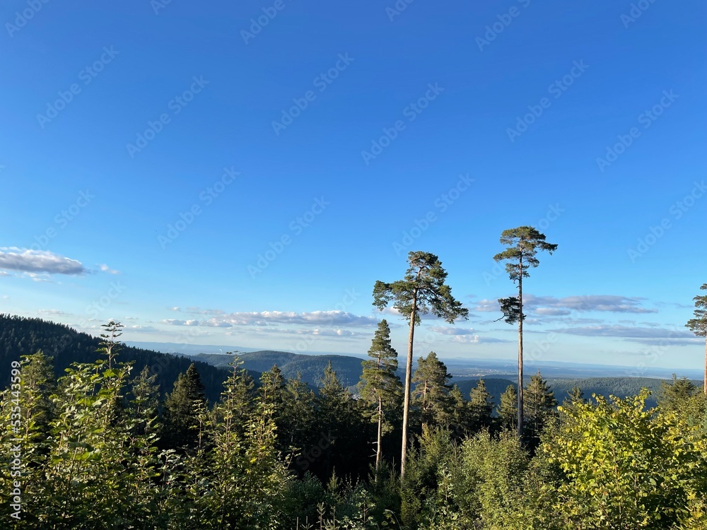 Fototapeta premium Outdoor Landscape Blackforest