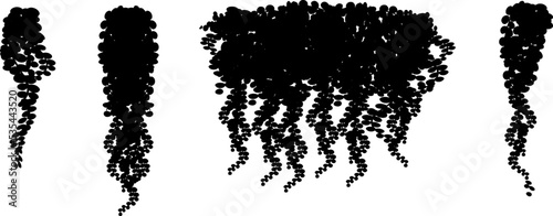 Set of ornamental black plant in the form of a hedge.Realistic garden shrub, seasonal bush, boxwood, tree crown bush foliage.For decorate of a park, a garden or a fence.