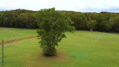 Ariel shot of Lone tree in large green field in Clemmons NC photo