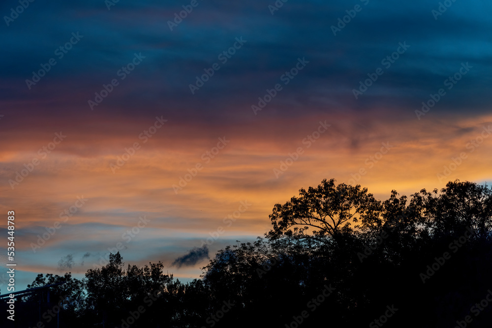 sunset with red and blue dramatic sky, silhouette against the light, shadow of trees, background, colorful, mexico,