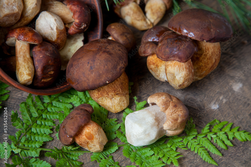 Imleria Badia or Boletus badius mushrooms commonly known as the bay bolete and Porcini mushroom commonly known as Boletus Edulis, clay bowl with mushrooms on vintage wooden background.. Imleria Badia or Boletus badius mushrooms commonly known as the bay bolete and Porcini mushroom commonly known as Boletus Edulis, clay bowl with mushrooms on vintage wooden background..