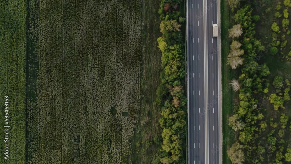 Cinematic aerial top view of the highway with traffic between green and yellow fields planted in a rows and autumn alley of trees. Drone slow motion shot of the road between fields.