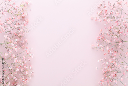 Beautiful flower background of pink gypsophila flowers. Flat lay, top view. Floral pattern.