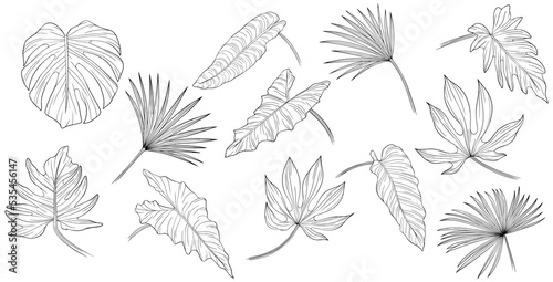 Tropical leaves isolated on white. Hand drawn png illustration. © ARTSTOK