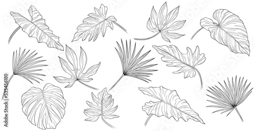 Tropical leaves isolated on white. Hand drawn png illustration. © ARTSTOK