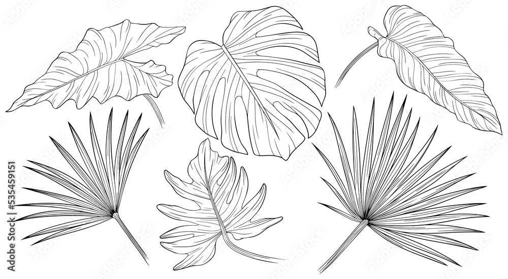 Tropical leaves isolated on white. Hand drawn png illustration.